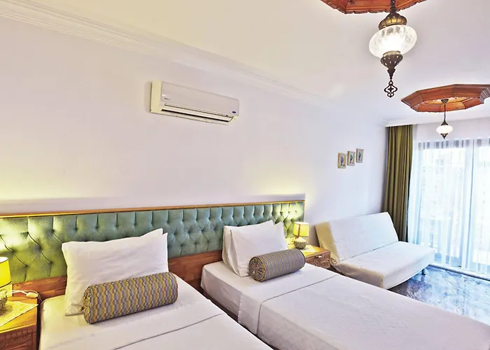 Apart Otel Gumus Akyaka (Mugla)