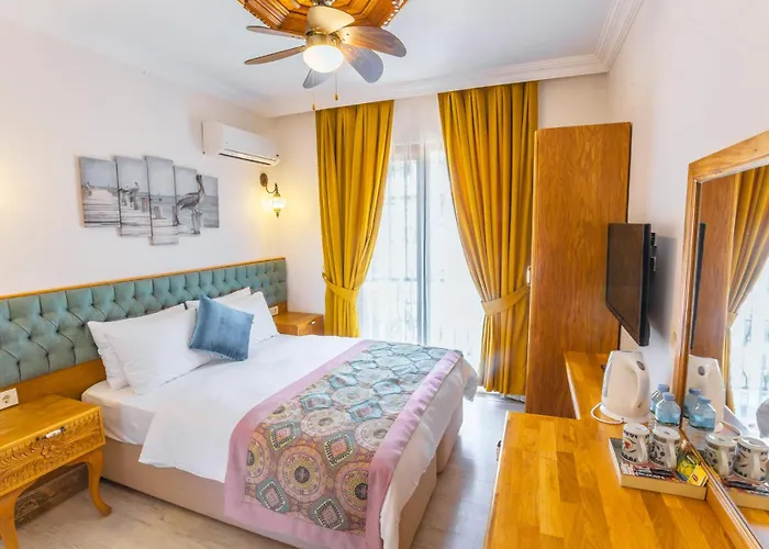 Apart Otel Gumus Akyaka (Mugla)